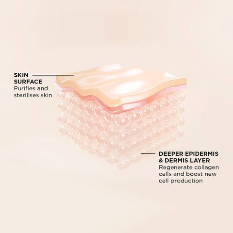 Browhaus Plasma Lift