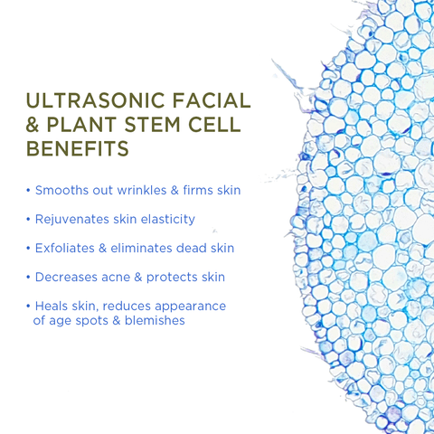 Ultrasonic Facial Using Plant Cell Benefits