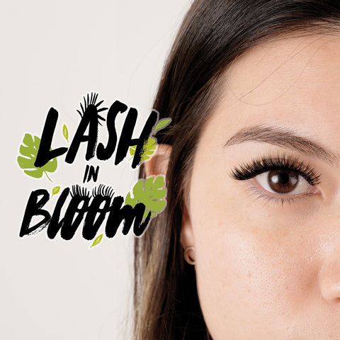 Browhaus Lash in Bloom Lash Extensions